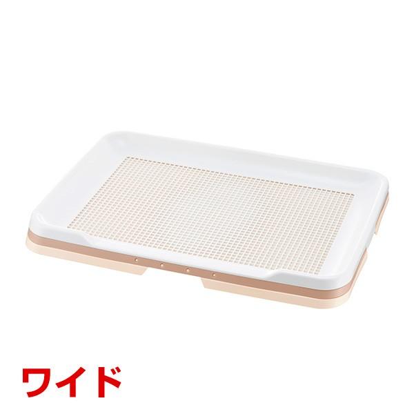 [b`F]Richell |ȒPXebvg[ AC{[ ChTCY 4973655599471 #w-155537