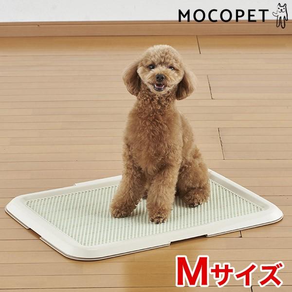 {rAR ^g[ MTCY AC{[ /  gC ybgV[cgC 4977082704057 #w-158417-00-00