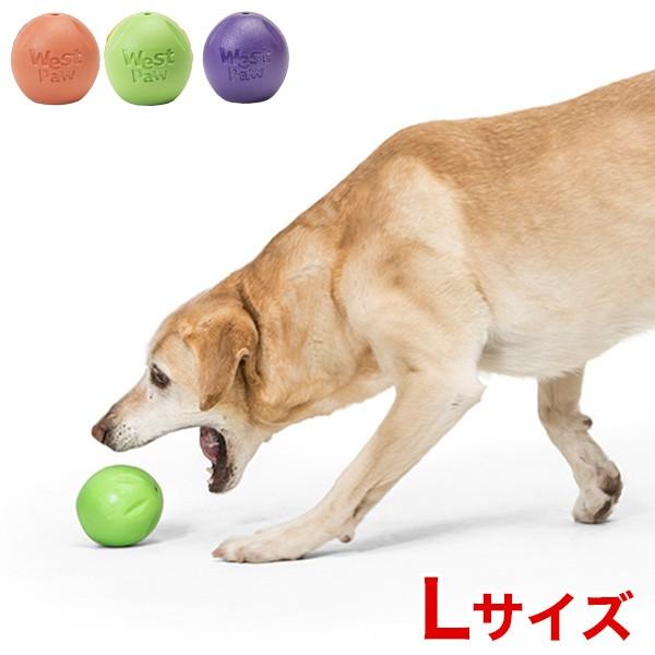 ゾゴフレックス・エコー ランダ Lサイズ / 犬用 おもちゃ ゴム
