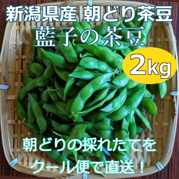 枝豆 新潟県産 茶豆 朝採り 2kg 藍子の茶豆 生 朝どり クール便 送料