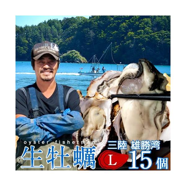 世界三大漁場である美しいリアス式海岸の三陸、豊かな山々から流れ出る栄養たっぷりの湧き水、海底からも水が湧き出ているためにここ雄勝湾はミネラルが豊富な海水として知られています。通常、カキの養殖は浅場や内湾で行われますが、雄勝湾では大きな川が無...