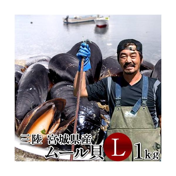 生ムール貝 大 1kg 三陸宮城県産 漁師直送 活ムール貝 イガイ ムラサキ貝 カラス貝 Buyee 日本代购平台 产品购物网站大全 Buyee一站式代购 Bot Online