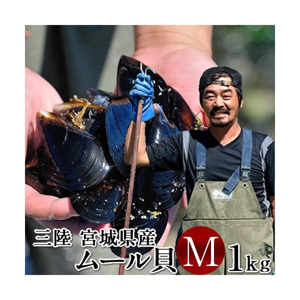 森の栄養分をたっぷり含んだ水が、海底から噴き出す雄勝湾で、太平洋の栄養豊富な海水で育った三陸ムール貝です。※活ムール貝の身入り安定期は［春］3月〜5月頃、［秋］9月〜11月頃が目安となっておりますので、その時期のお届けを推奨しております。【...