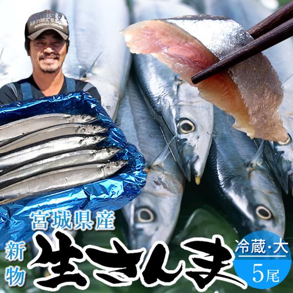 サンマ 新物 生さんま 5尾 秋刀魚 お刺身 鮮度抜群 国産 宮城県 三陸 お取り寄せ ギフト プレゼント Sanma51a 三陸カキ漁師 海遊 通販 Yahoo ショッピング
