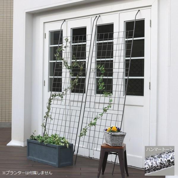 O[tFX 80cm 2g ACAO[J[e Ot IFGC014-2P-SLV kC{3000~