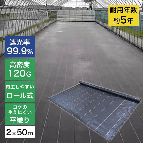 X XBEN 165g 防草シート2x50M X XBEN 165g 防草シート2x50M 雑草対策除草シート ぼうそう