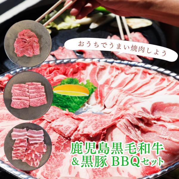 鹿児島黒牛 牛肉 肉 和牛 赤身肉 豚肉 国産 焼き肉 焼肉 BBQ