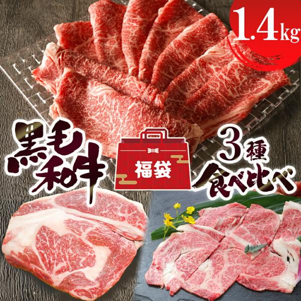 【総重量1.4kg】 黒毛和牛サーロイン ・リブロース 3種食べ比べ福袋【 送料無料 ステーキ 焼肉 スライス 食べ物 厳選黒毛和牛 食べ物 お取り寄せ 詰め合わせ】