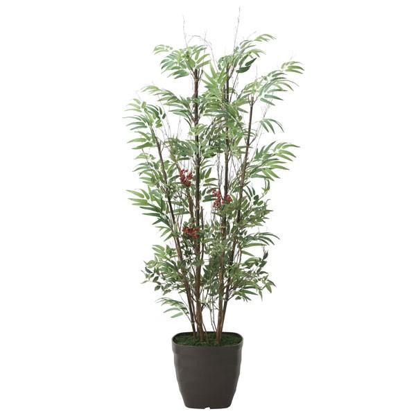 A[gO[ tFCNO[ lHϗtA G} ̊y |VPDU 2010K300