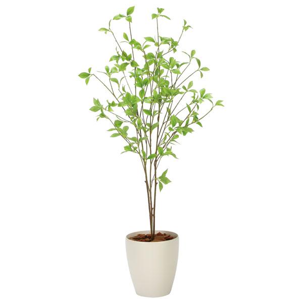 光触媒加工の人工観葉植物クロモジ120cm