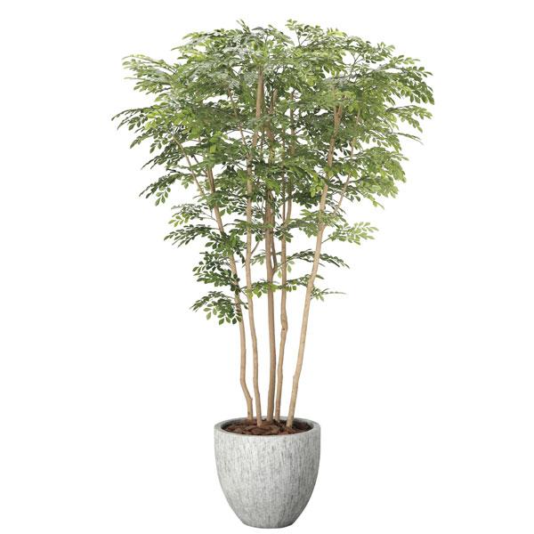 光触媒加工の大型人工観葉植物ナチュラルトネリコミックス2.3