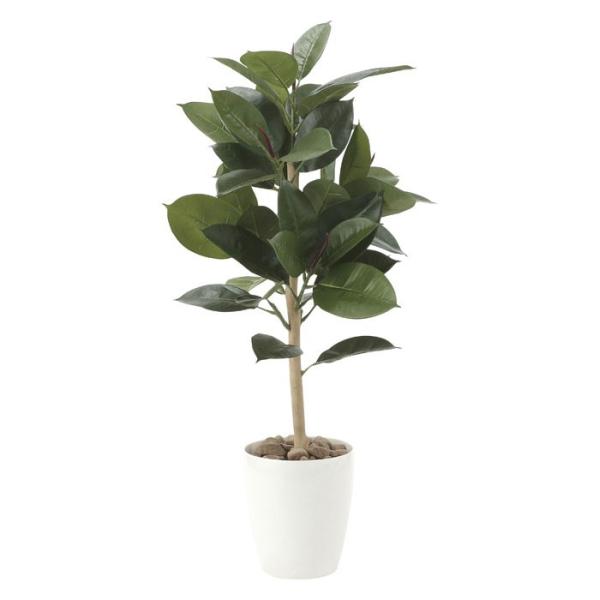 A[gO[ lHϗtA G} ̊y S̖90 614E130