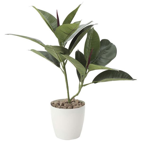 A[gO[ lHϗtA G} ̊y S̖90 637f50