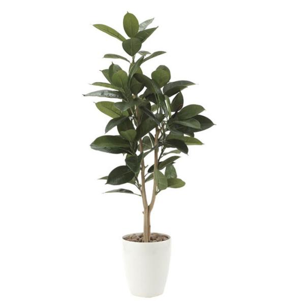 A[gO[ lHϗtA G} ̊y S̖1.25 710P250