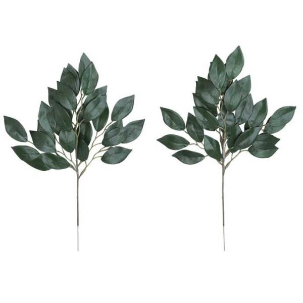 A[gt[  G} ̊y 召4{Zbg 96K22