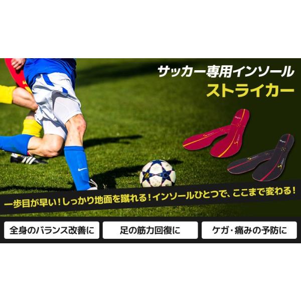 150円 【全商品オープニング価格 BMZサッカー専用インソール 25センチ サッカー スポーツ