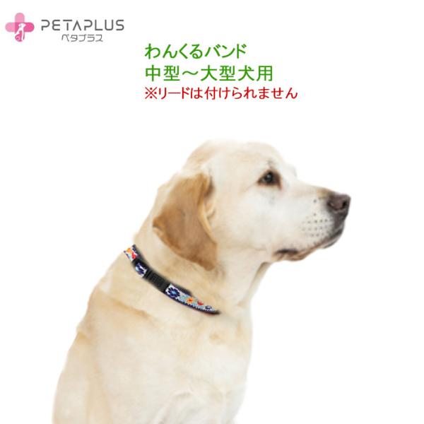 【送料無料：追跡可能メール便でお届け】チロリアンテープで華やかになって新発売！ペタプラス《わんくるバンド》【首周り42〜58ｃｍ】中型犬、大型犬用のネックバンド 温泉鉱物で体幹強化+血流促進、神経コンディショニングで快調テラヘルツで免疫力を...