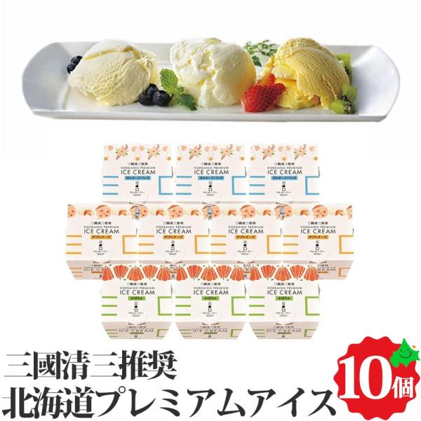 アイスクリーム ギフト アイス 三國推奨 北海道プレミアムアイス3種セット(10個)(MNA-R10) / アイスギフト アイス詰め合わせ