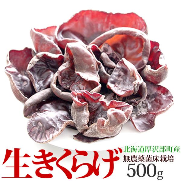 ＜500g＞生きくらげ500g真空パック 生木耳 生キクラゲ 国産木耳