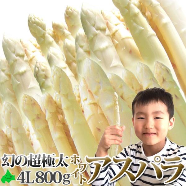 超極太 北海道産 ホワイトアスパラガス 2kg3Lサイズ以上 予約】北海道産 アスパラガス ホワイトアスパラ 600g (共撰/L-2L