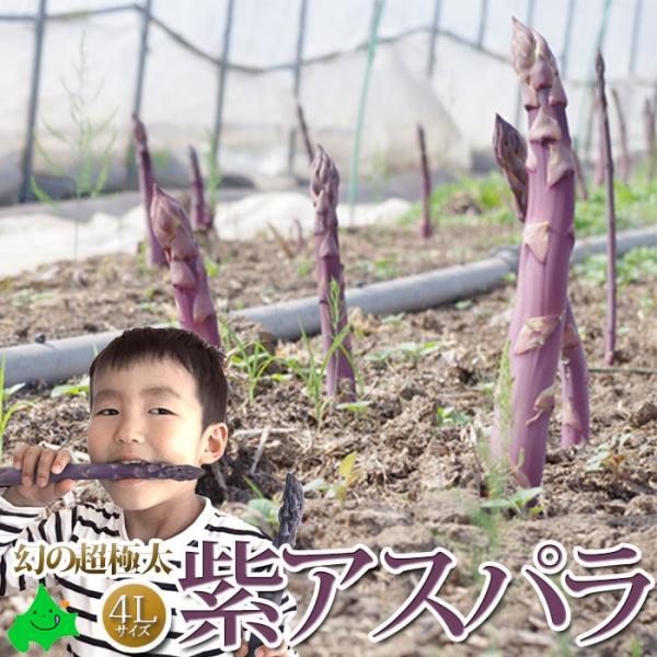 当店の＼幻の超極太 4Lサイズ アスパラガス／は、 機械で3Lサイズまで選別し、さらに手作業で太い物だけを厳選。そのアスパラガスを4Lとして販売しております。バーベキュー、茹で、バター炒めなど美味しくどうぞ。■内容量：紫アスパラ（サイズ4L...