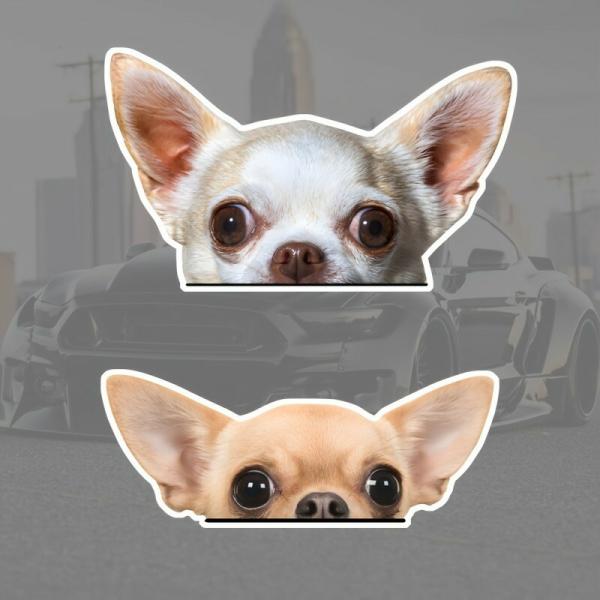 防水ビニールステッカー チワワ ワイドアイ 自己粘着 車・ラップトップ用 スクラッチ防止 ペットデザイン