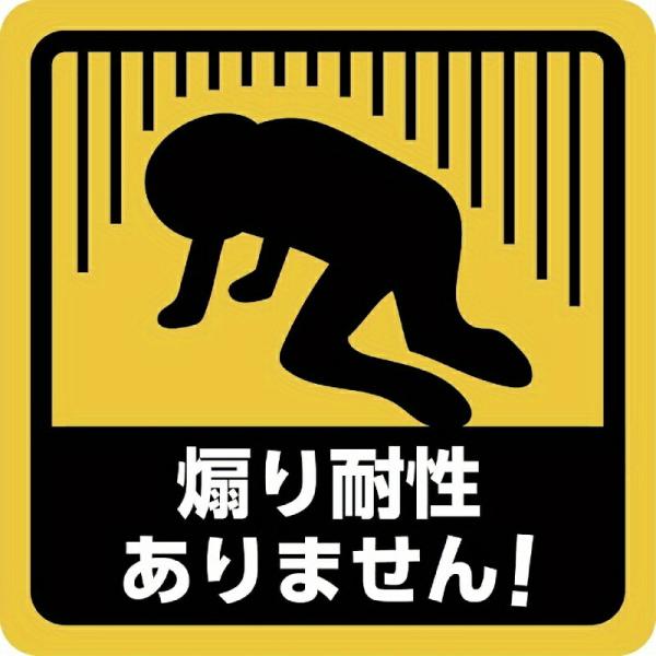 車用ステッカー ビニール製 自己粘着式 防水 耐久性 熱に強い 黒×白 キャラクターデカール メンズ レディース