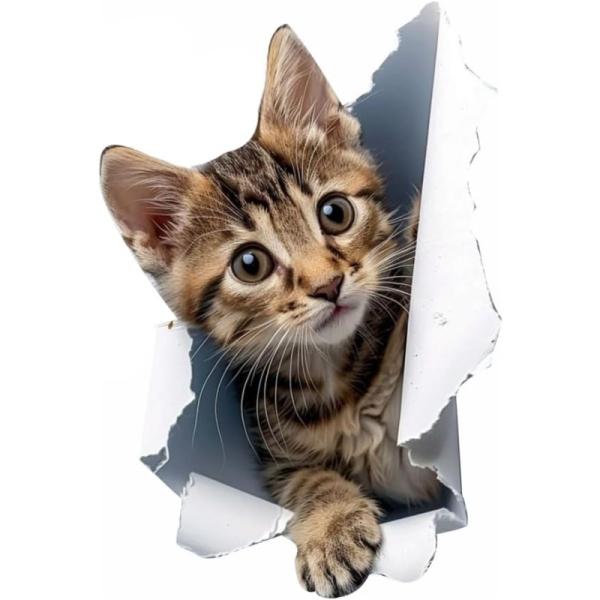 アニメ猫をモチーフにしたビニールステッカーです。車のボディやバンパー、キャンピングカー、スーツケースなどに貼れる多用途デカールです。高精細なアニメ猫デザインを採用しています。防水・耐久性に優れたビニール素材で、屋外使用にも適しています。糊残...