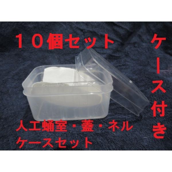 B3人工蛹室：DSPC透明タイプ 小（改） 粘着式起毛ネル付きケース付き10セット【オオクワメス・♂小型用】★定休日＝日祝水曜、他