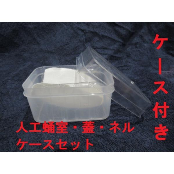 B3人工蛹室：DSPC透明タイプ 小（改） 粘着式起毛ネル付きケース付き1セット【オオクワメス・♂小型用】★定休日＝日祝水曜、他