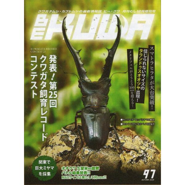 代引き不可！ビークワ97号　送料無料！★定休日＝日祝水曜、他