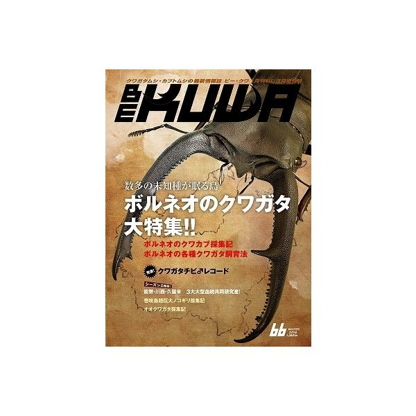送料無料【絶版】ビークワ66号　BE-KUWA66号★定休日＝日祝水曜、他