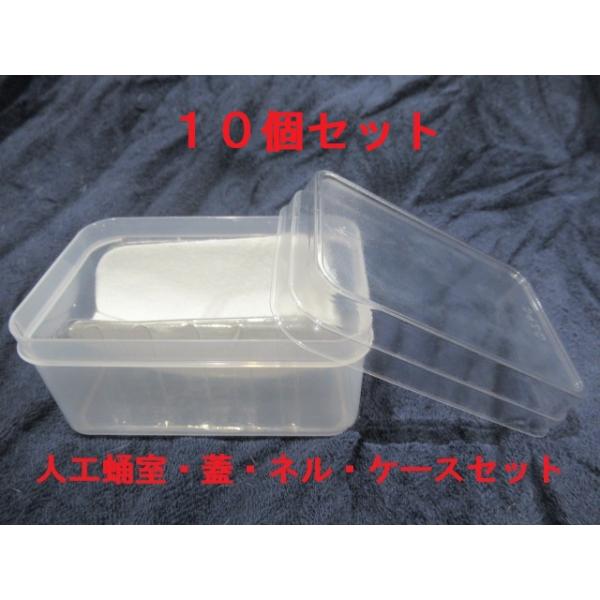 B0：人工蛹室 DSPC（透明PETタイプ）大（改）10個セット【オオクワ♂中型用】★定休日＝日祝水曜、他