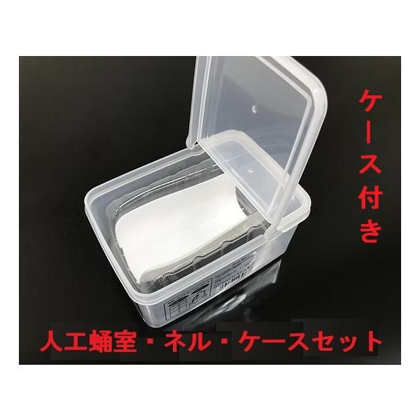 F：人工蛹室 DSPC（透明PETタイプ）特大1セット【大型サイズヒラタ等】★定休日＝日祝水曜、他