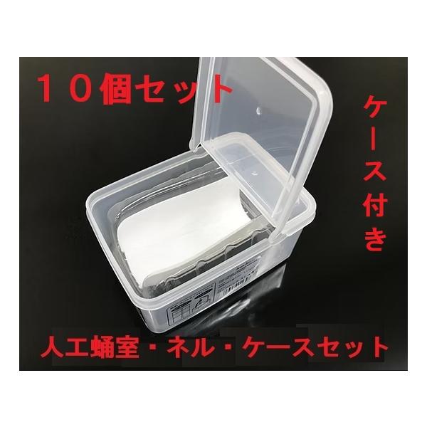 F：人工蛹室 DSPC（透明PETタイプ）特大10個セット【大型サイズヒラタ等】★定休日＝日祝水曜、他