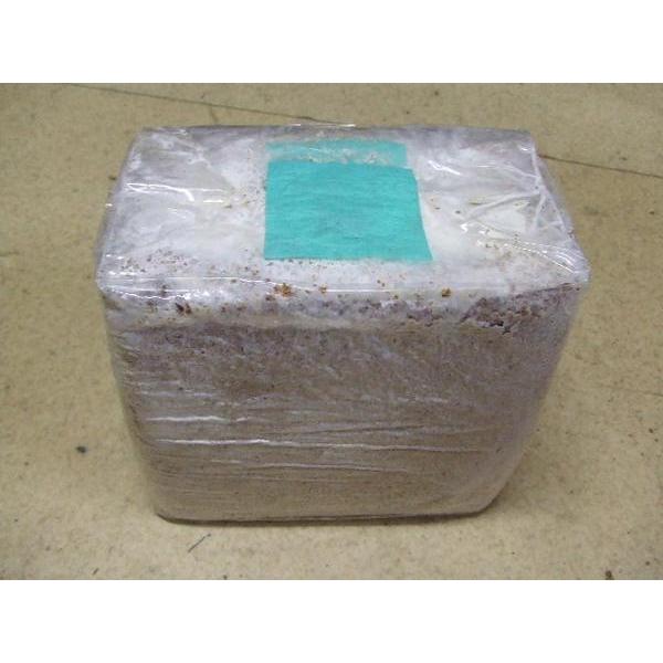 ★NEWこだわりの菌糸ブロック・クヌギ主体中粒子KB3800 １個 初令にお勧め★定休日＝日祝水曜、他