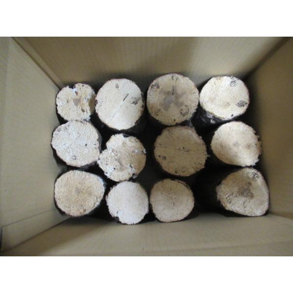 産卵木コナラ・クヌギ中サイズ20本〜24本【100サイズ箱に入るだけ入れています】太さ8ｃｍ前後〜10ｃｍ前後・無農薬★定休日＝日祝水曜、他