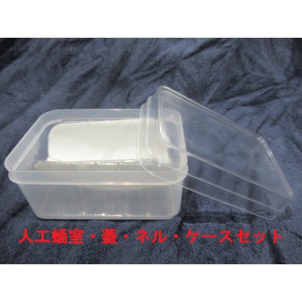 B0：人工蛹室 DSPC（透明PETタイプ）大（改）1セット【オオクワ♂中型用】★定休日＝日祝水曜、他
