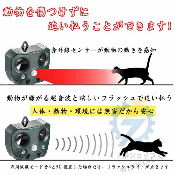高級品市場 農業大陸 国華園猫よけ 超音波 2個セット 動物よけ 鳥よけ 撃退器 ソーラーアニマルブロッカー3 獣害対策 ソーラー充電式 Usb充電可 警報音 光 動体検知 防水 防鳥 国華園 5starfilms Rhynlexmedia Com