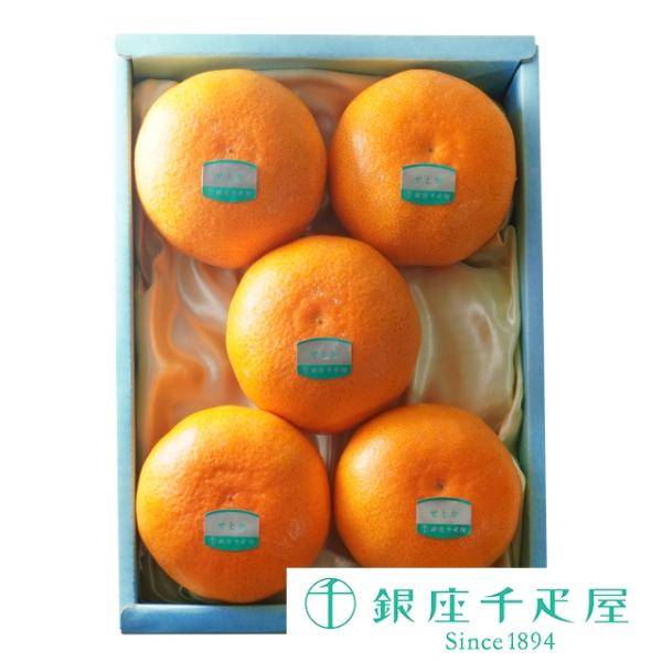 母の日 ギフト 千疋屋 フルーツ 銀座千疋屋 せとか5個入 Buyee Buyee Japanese Proxy Service Buy From Japan Bot Online