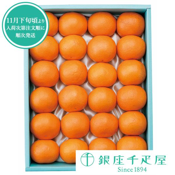 ポイント2倍〜 お中元 夏ギフト 2026 フルーツ プレゼント 贈り物 ギフト Gift 銀座千疋屋 温州みかん24個入 No16