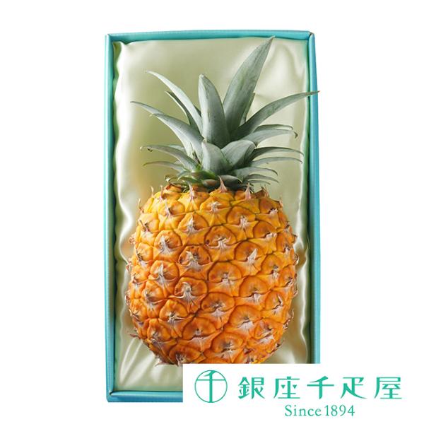 ポイント2倍〜 お中元 夏ギフト 2026 フルーツ プレゼント 贈り物 ギフト Gift 銀座千疋屋 サーリーゴールド(パイナップル)