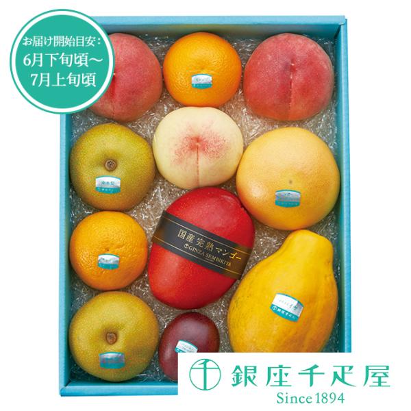 ポイント2倍〜 お中元 夏ギフト 2026 フルーツ プレゼント 贈り物 ギフト Gift 銀座千疋屋 果物詰合せ（夏）　No25