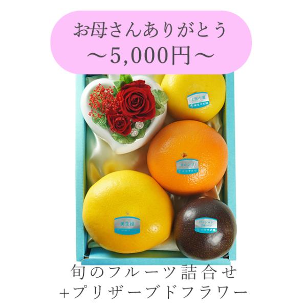 ポイント2倍〜 お中元 夏ギフト 2026 フルーツ 詰め合わせ 贈り物 ギフト Gift 銀座千疋屋 お母さんありがとう(フラワー&フルーツ1)