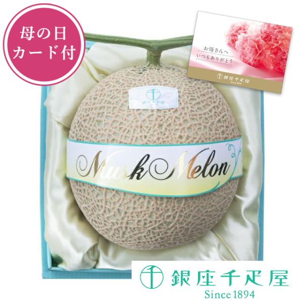 ポイント2倍〜 お中元 夏ギフト 2026 フルーツ プレゼント 贈り物 ギフト Gift 銀座千疋屋 【母の日】マスクメロン(化粧箱）1個入（約1.3kg）※数量限定※