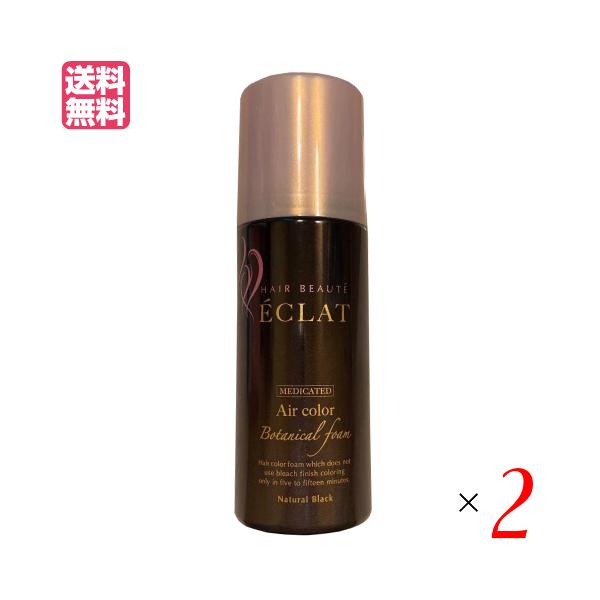 ヘアカラー ボタニカルエアカラーフォームの人気商品・通販・価格比較 ヘアカラー ボタニカルエアカラーフォームの人気商品・通販・価格比較