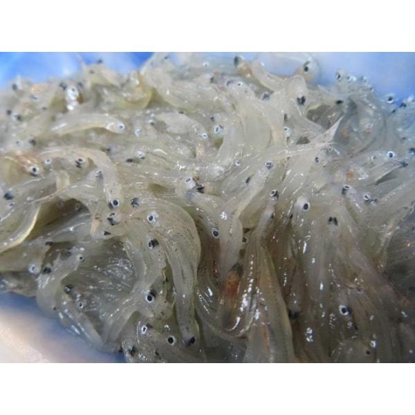 おしらす 嶋治水産和歌山県産釜揚げしらす※ 70g – 成城石井.com