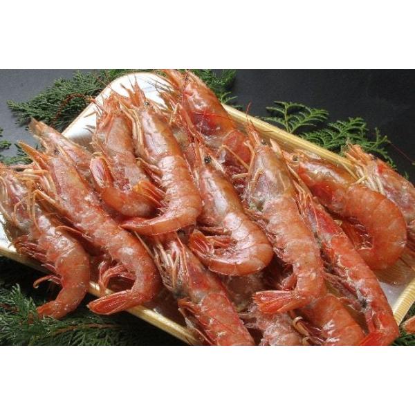 赤えび　あかえび　赤海老　お刺身　BBQ　塩焼き　1kg　天然