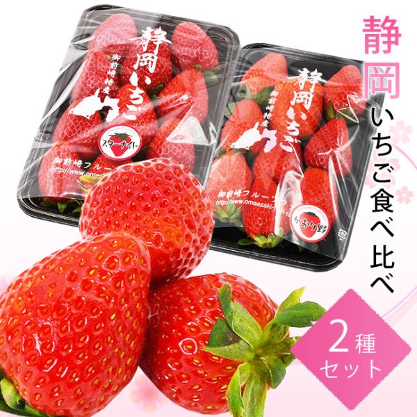 ◆静岡県産いちご　2種セットスターナイト・恋みのり・かおり野のうち、いずれか2種をお届けいたします。※入荷が不安定なため、恐れ入りますが品種のご指定を承ることができかねます。何卒ご了承くださいませ。1パックあたり約250グラム前後(粒数は入...