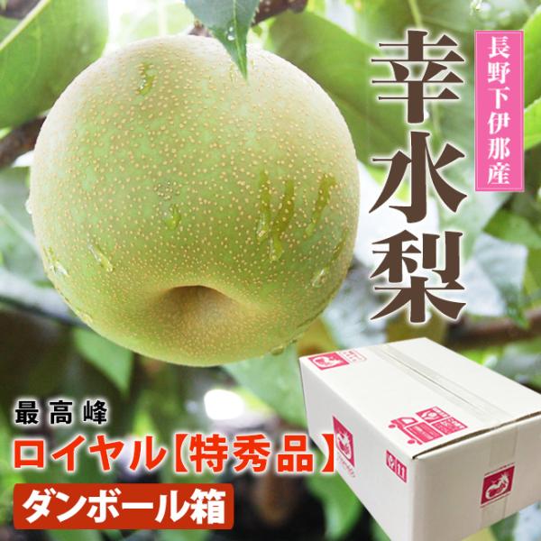 糖度12度 長野県下伊那産幸水梨【ロイヤル(特秀品)】6個 合計2kg以上 簡易ダンボール入り 梨 お取り寄せ 自宅用